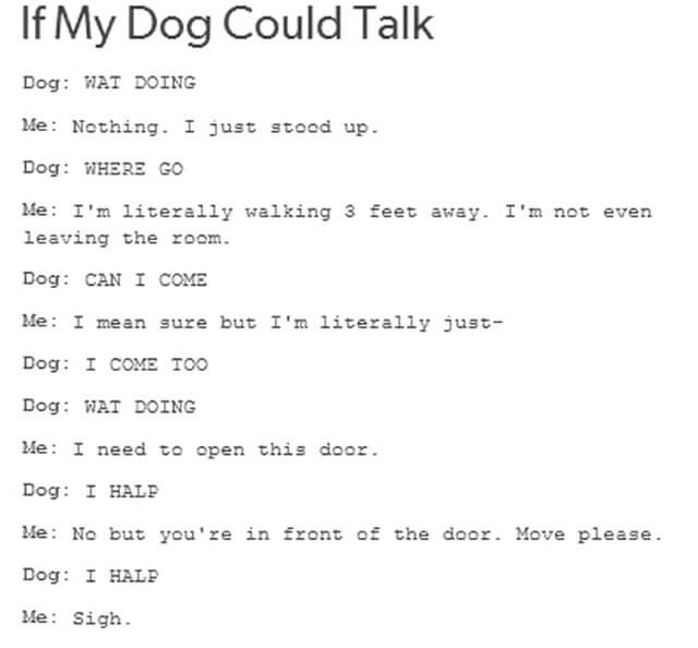 Talking Dogs, Dogs Talk