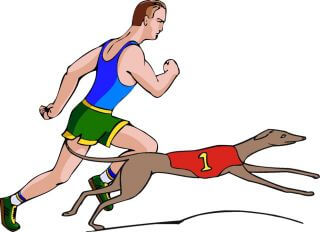 Dog vs Human Speed, Racing, Competition