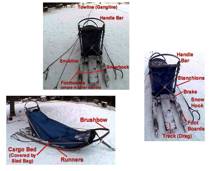 Sled Dogs Mushing Harness Measure