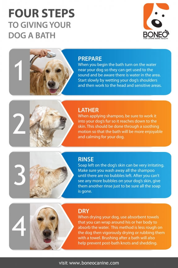 HOW TO GIVE A BATH AND A SHOWER TO YOUR DOG & PUPPY INFOGRAPHICS, PRESS TO SEE IN FULL SIZE !!!