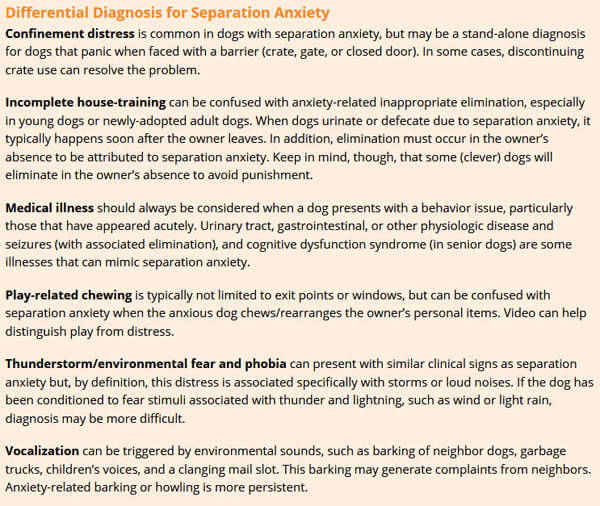 Dog Anxiety & Fear Diagnosis, Signs, Symptoms - This info by TODAYSVETERINARYPRACTICE.COM !