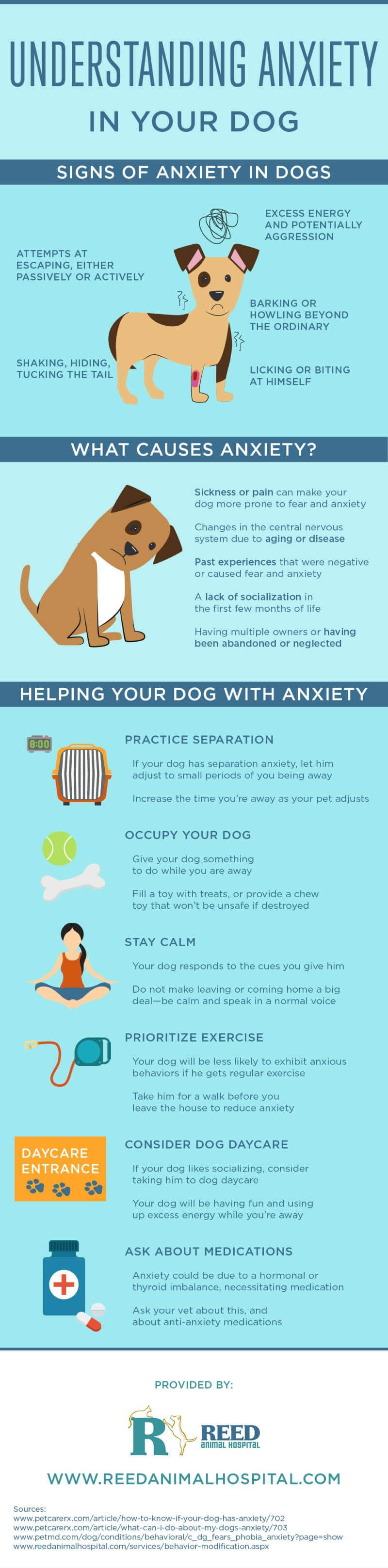 THE GENOME OF DOG SEPARATION ANXIETY - INFOGRAPHICS