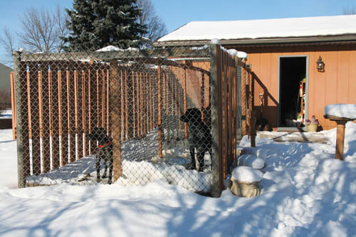 HOMEMADE DOG KENNEL, GUIDE, PLANS, INSTRUCTIONS