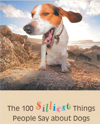 TOP 100 SILLIEST THINGS PEOPLE SAY ABOUT DOGS - Book by Alexandra Semyonova