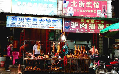 THE MYTH OF DOG-EATING IN CHINA