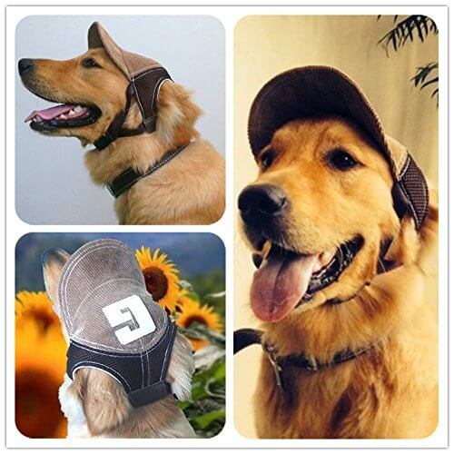 27 Funny Dogs in Hats, Caps & Visors √ Photos & Videos. Homemade DIY Party  Hats for Dogs