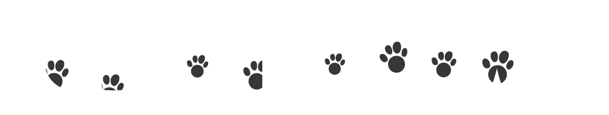 WWW.CLEANERPAWS.COM