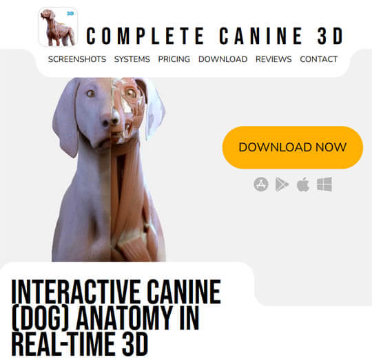 INTERACTIVE 3D DOG ANATOMY ONLINE ATLAS