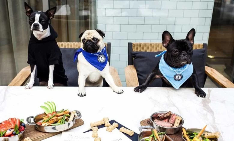 Photo credit: WWW.HEYTRIPSTER.COM / DOG-FRIENDLY BARS, RESTAURANTS AND FOOD COURTS