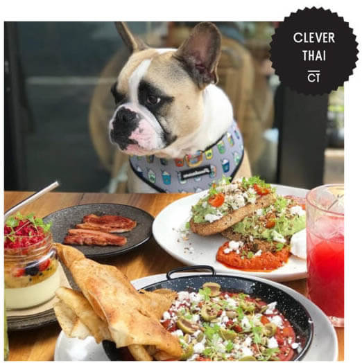 Image credit - WWW.CLEVERTHAI.COM - DOG-FRIENDLY BARS, RESTAURANTS AND FOOD COURTS by TOWN, COUNTRY