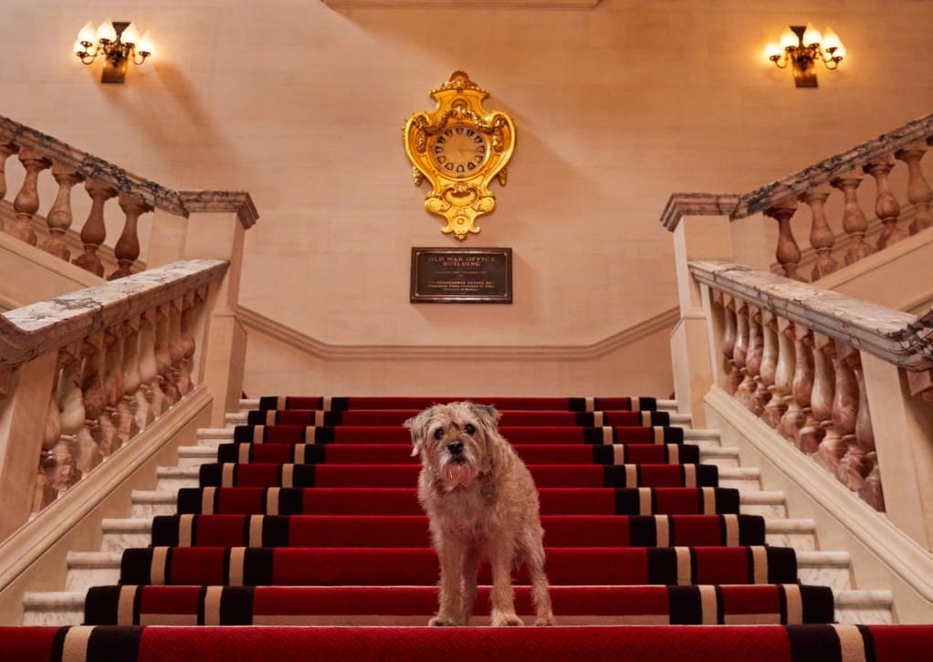 DOG-FRIENDLY HOTELS by TOWN, COUNTRY