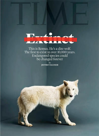 DIRE WOLF RESURRECTION