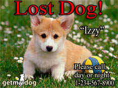 CREATE LOST DOG and PUPPY POSTCARD