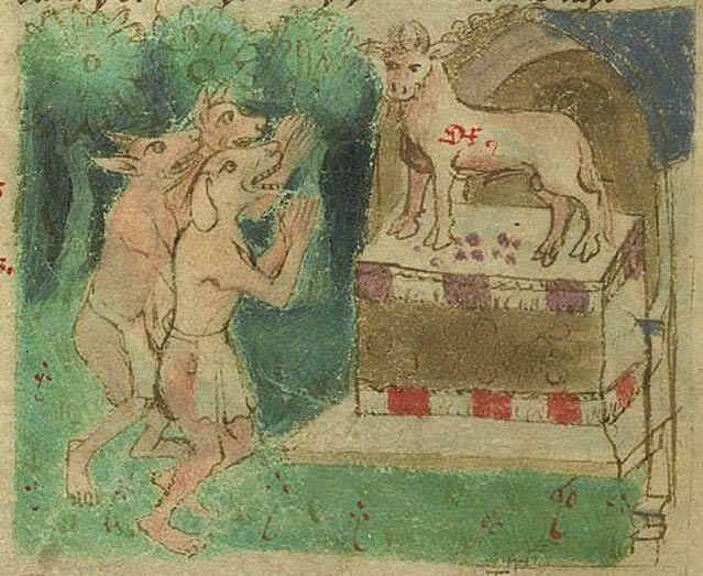 DOG CYNOCEPHALY