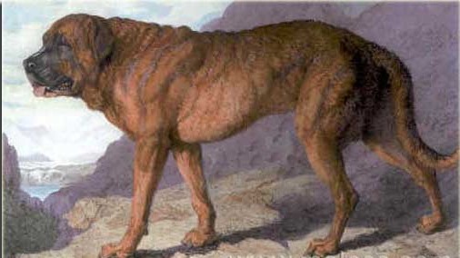 EXTINCT DOG BREEDS