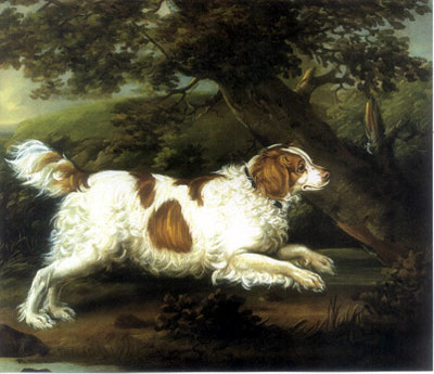 EXTINCT DOG BREEDS
