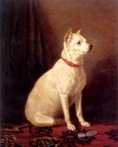 EXTINCT DOG BREEDS