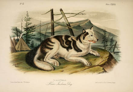 EXTINCT DOG BREEDS