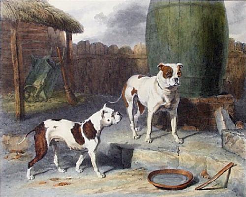 EXTINCT DOG BREEDS