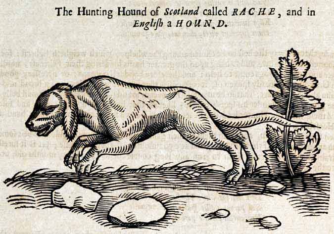 EXTINCT DOG BREEDS