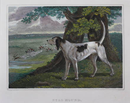 EXTINCT DOG BREEDS