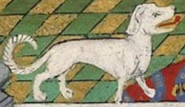 EXTINCT DOG BREEDS
