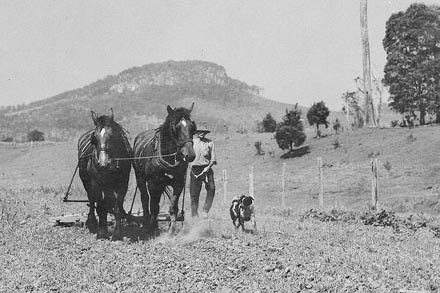 EXTINCT DOG BREEDS