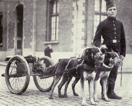 EXTINCT DOG BREEDS