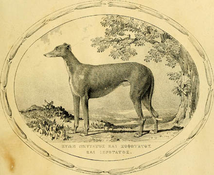 EXTINCT DOG BREEDS