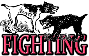 FIGHTING DOG BREEDS