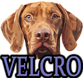VELCRO DOG BREEDS